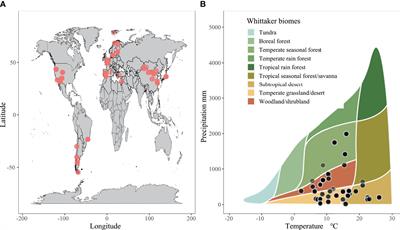 Precipitation modulates the net effect of solar radiation on litter decomposition and CO2 emission - a meta-analysis